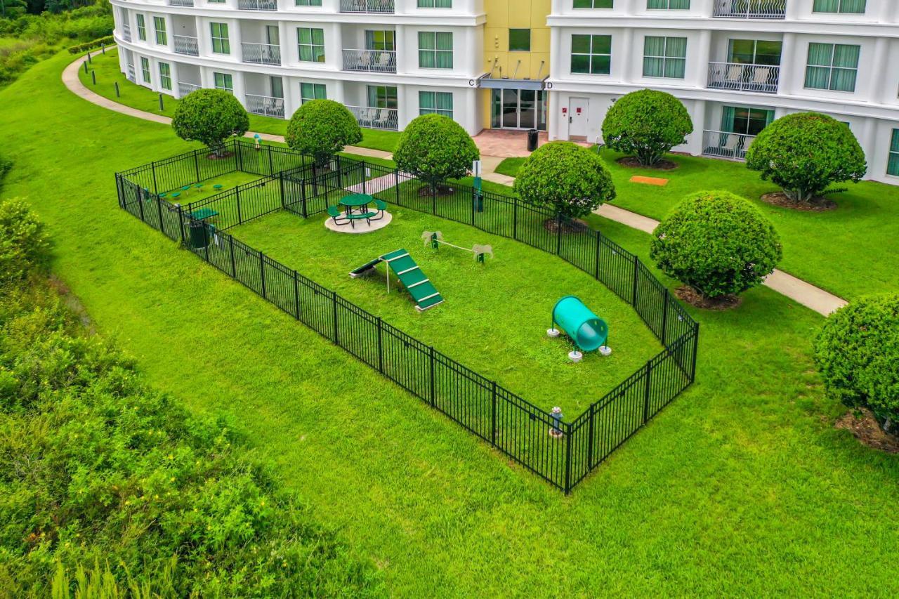 Pet Friendly In Orlando Area Near Disney Celebration Eksteriør billede