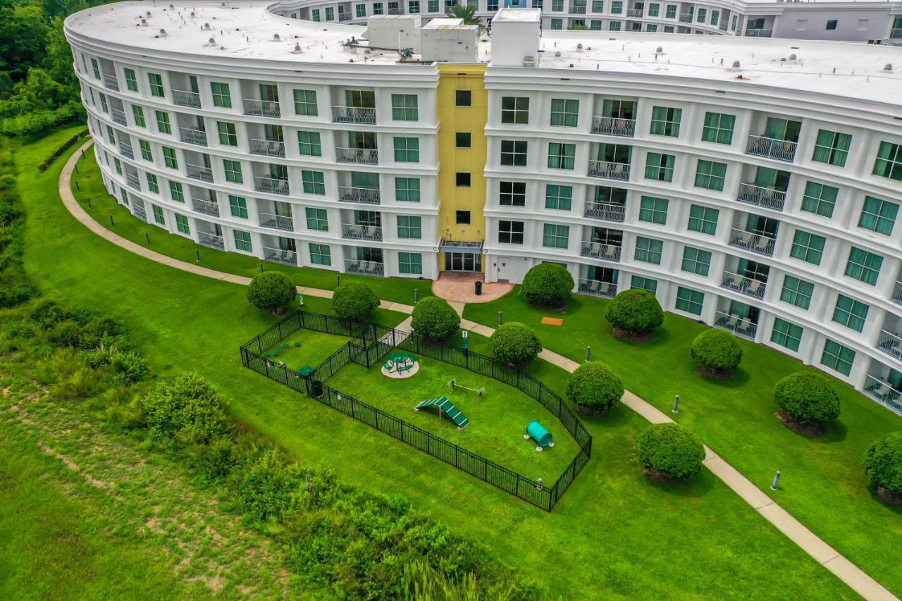 Pet Friendly In Orlando Area Near Disney Celebration Eksteriør billede